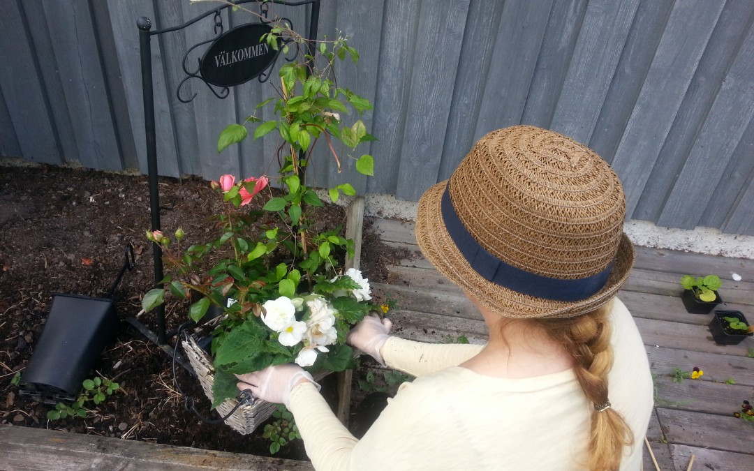 gardening_52