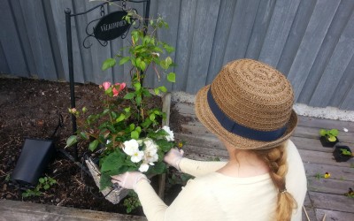 gardening_52