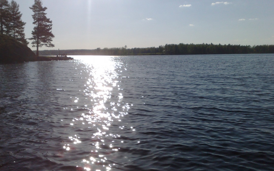 nature_water_runn4
