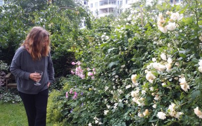 blommor-solna04